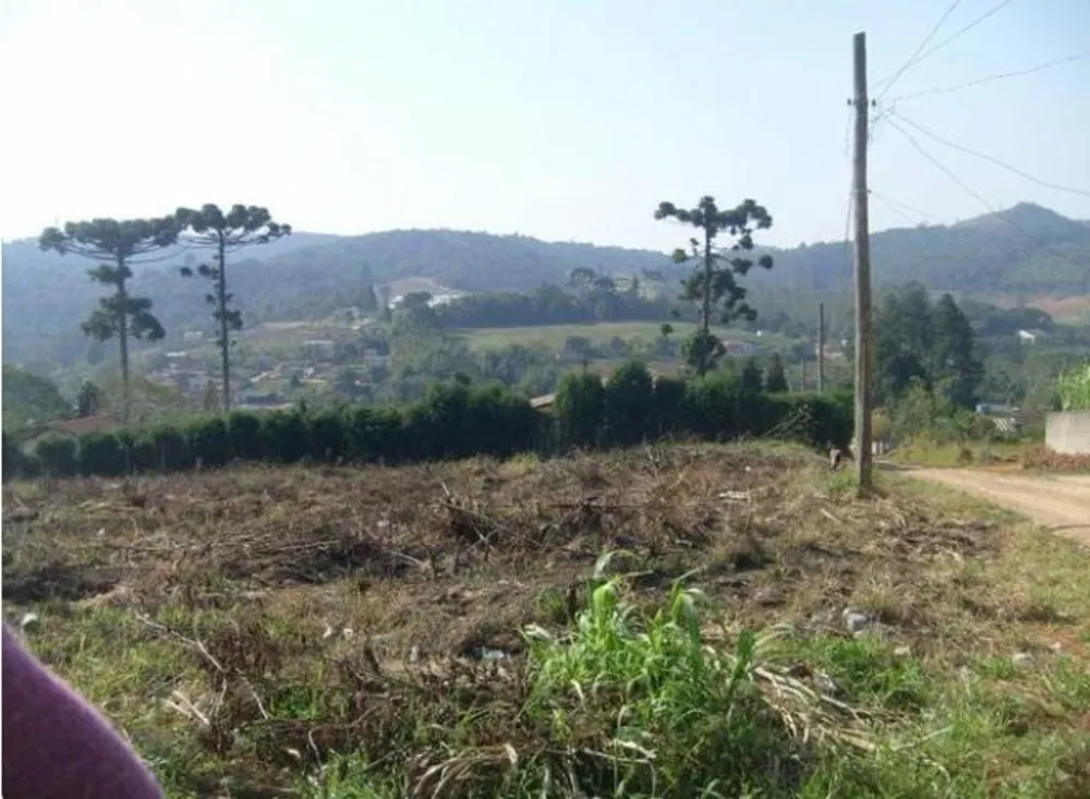 Terreno, 6000 m² - Foto 4