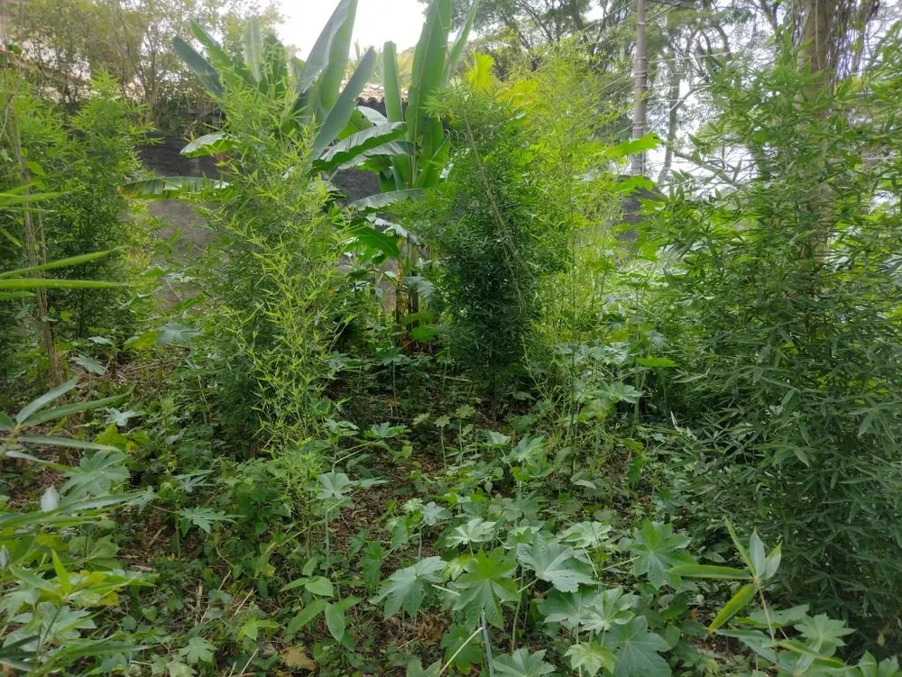 Terreno, 2162 m² - Foto 5