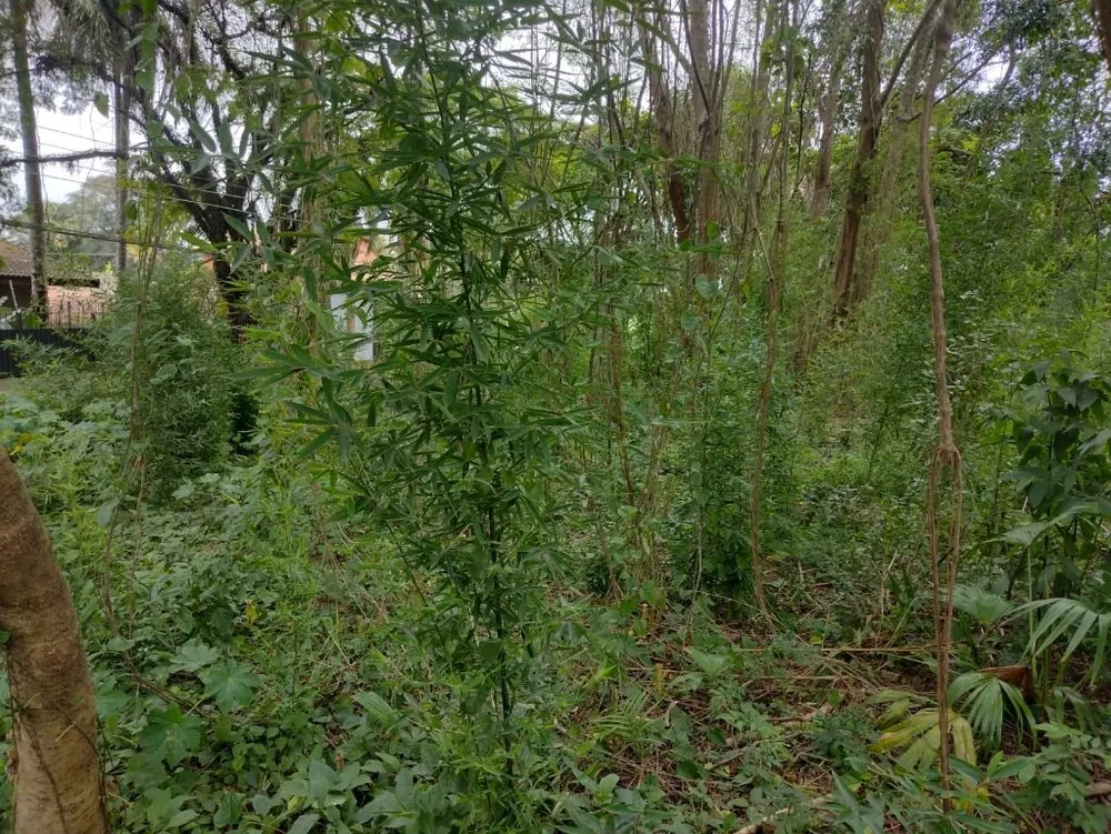Terreno, 2162 m² - Foto 9