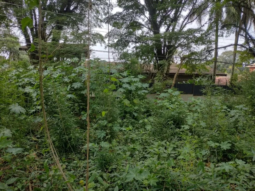 Terreno, 2162 m² - Foto 6