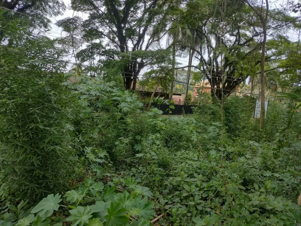 Terreno, 2162 m² - Foto 10