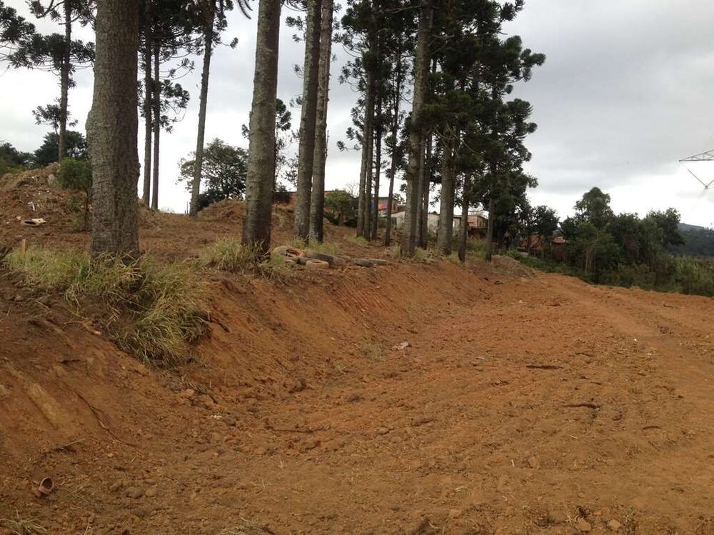 Terreno, 2742 m² - Foto 3