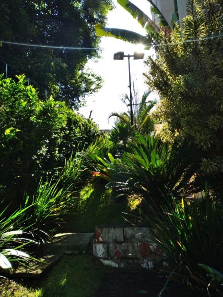 Apartamento, 2 quartos, 46 m² - Foto 14