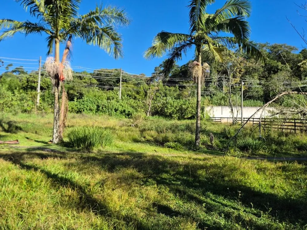 Terreno, 8000 m² - Foto 5