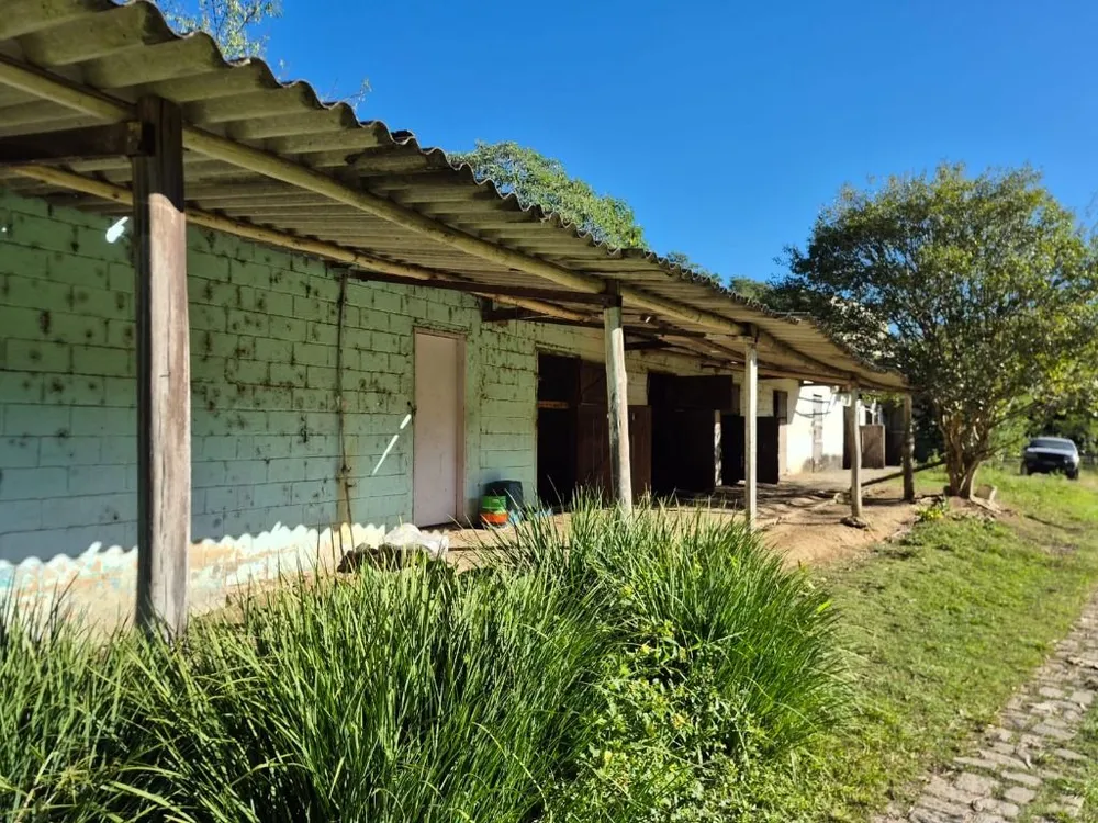 Terreno, 8000 m² - Foto 6