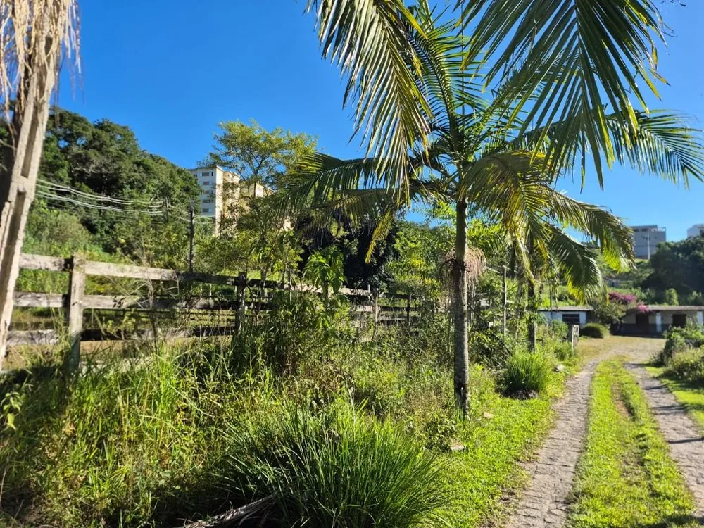 Terreno, 8000 m² - Foto 8