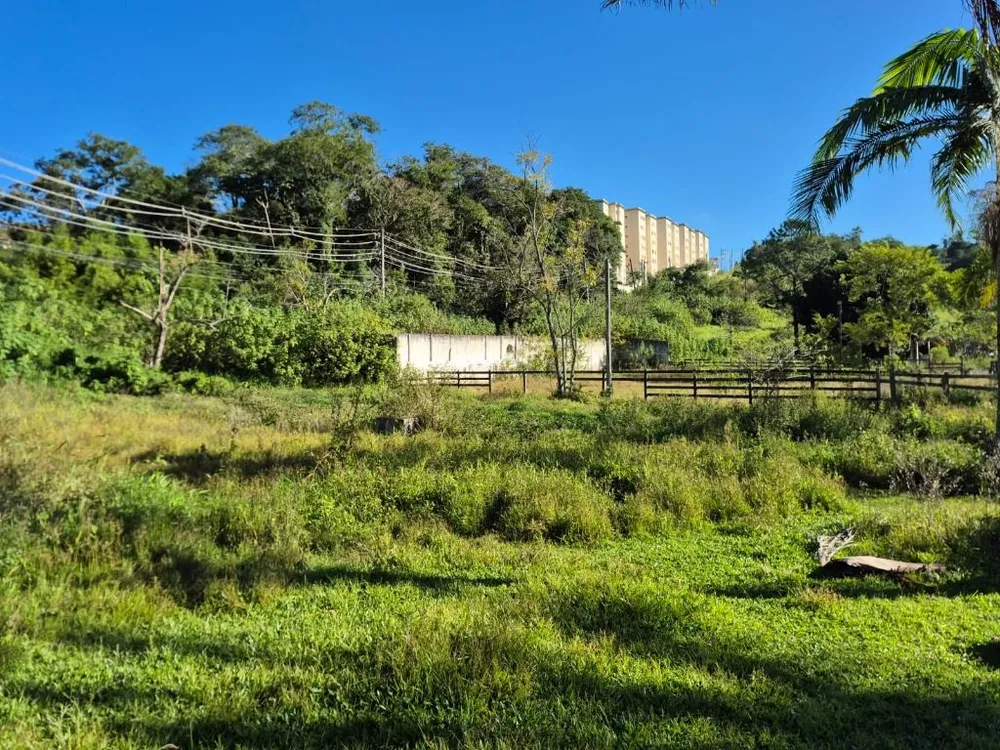 Terreno, 8000 m² - Foto 4