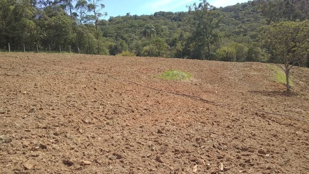 Sítio, 2 quartos, 7 hectares - Foto 6
