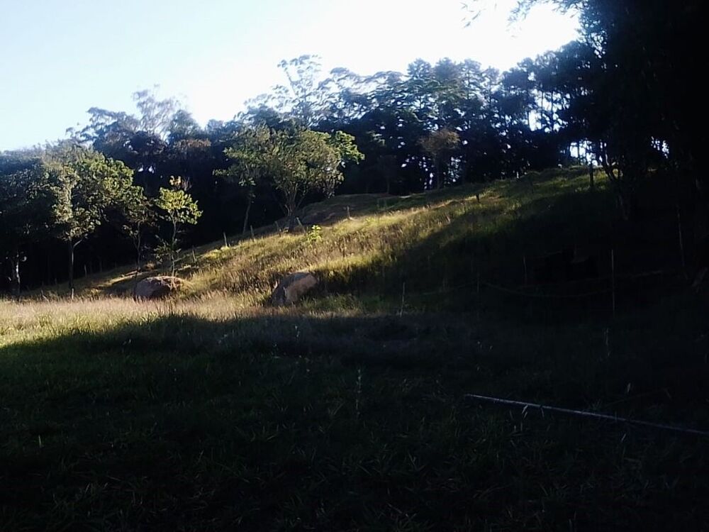 Sítio, 2 quartos, 7 hectares - Foto 3