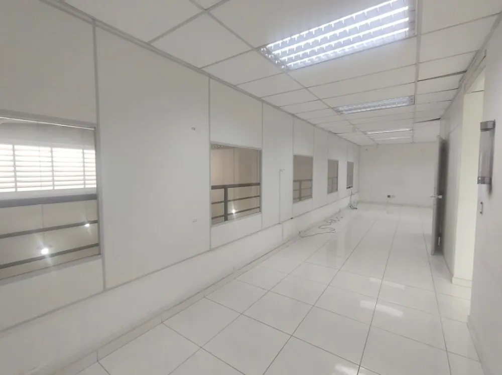 Depósito-Galpão, 288 m² - Foto 3