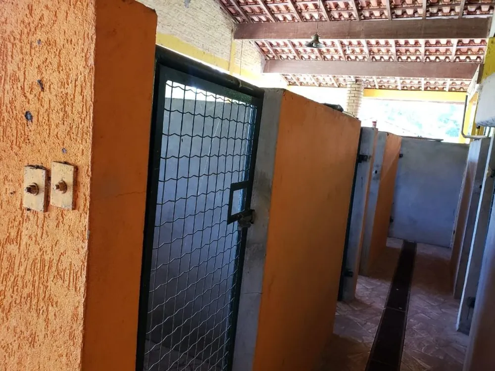 Chácara, 4 quartos, 1250 m² - Foto 27