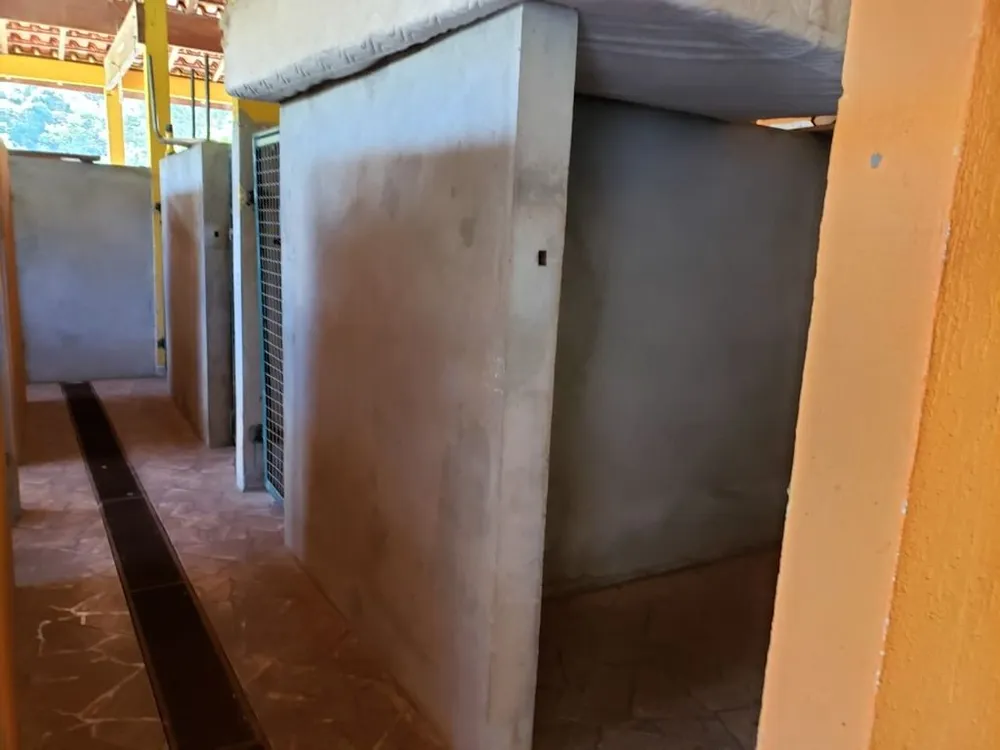 Chácara, 4 quartos, 1250 m² - Foto 28