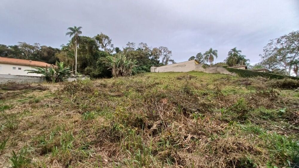 Terreno, 3045 m² - Foto 5