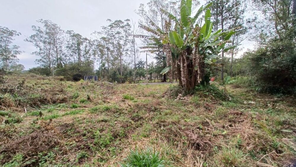 Terreno, 3045 m² - Foto 9