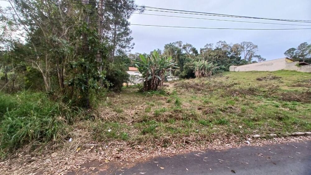 Terreno, 3045 m² - Foto 3