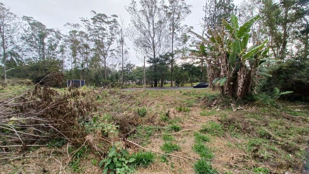 Terreno, 3045 m² - Foto 8