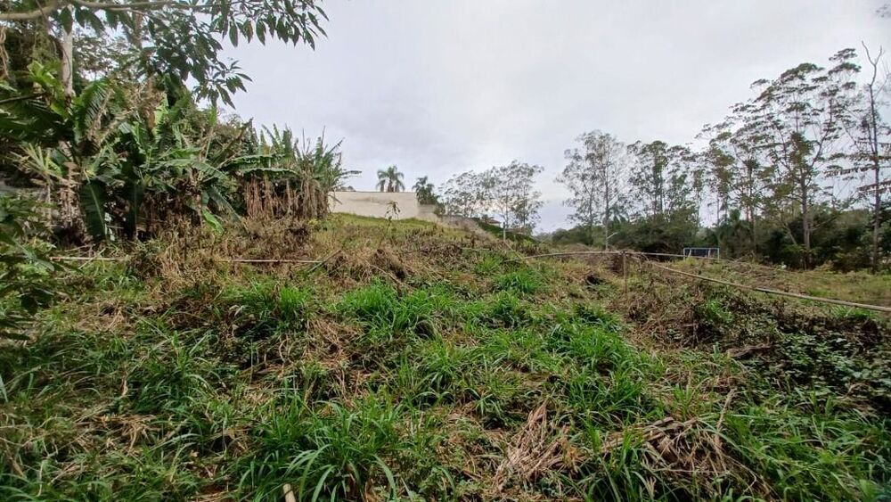 Terreno, 3045 m² - Foto 13