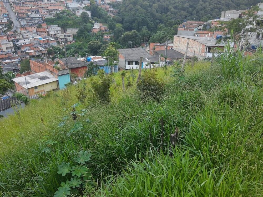 Terreno, 290 m² - Foto 6