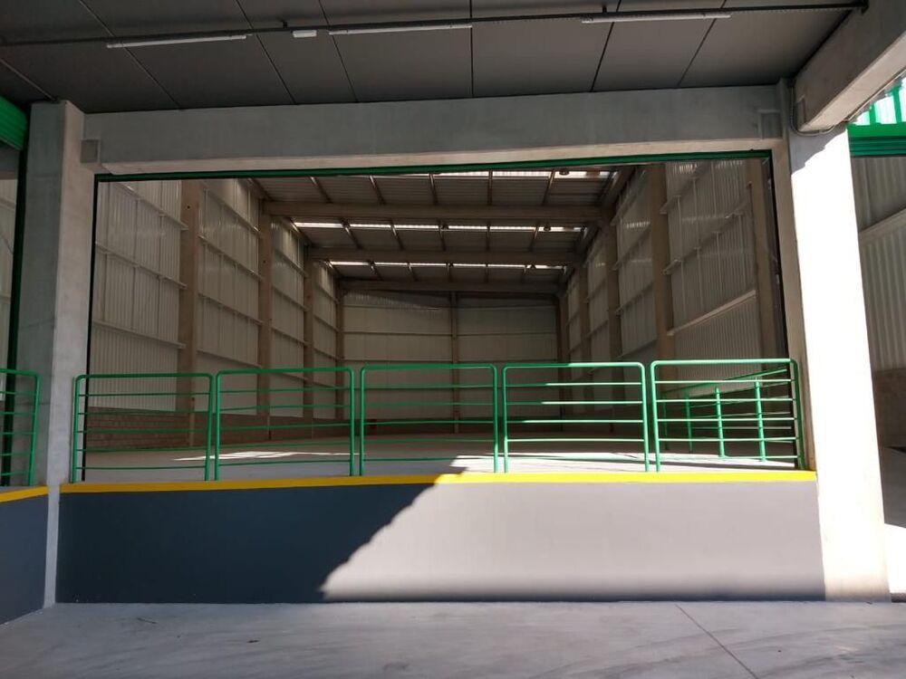 Depósito-Galpão, 1338 m² - Foto 6