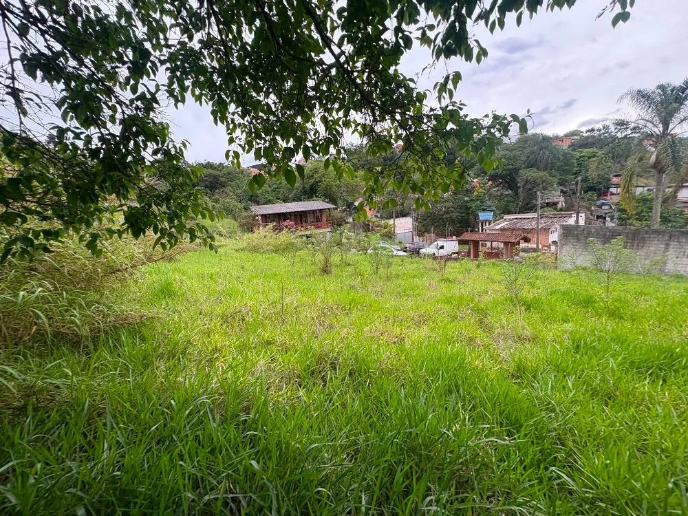 Terreno, 9000 m² - Foto 6