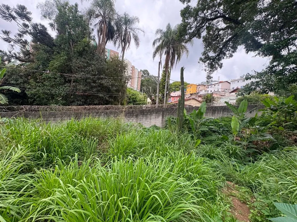 Terreno, 9000 m² - Foto 4
