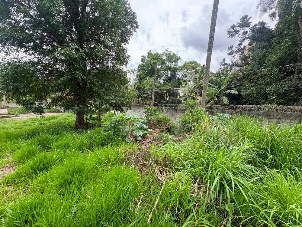 Terreno, 9000 m² - Foto 3