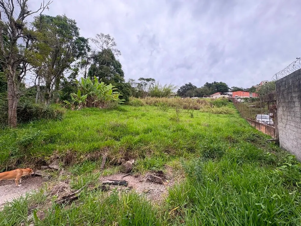 Terreno, 9000 m² - Foto 10