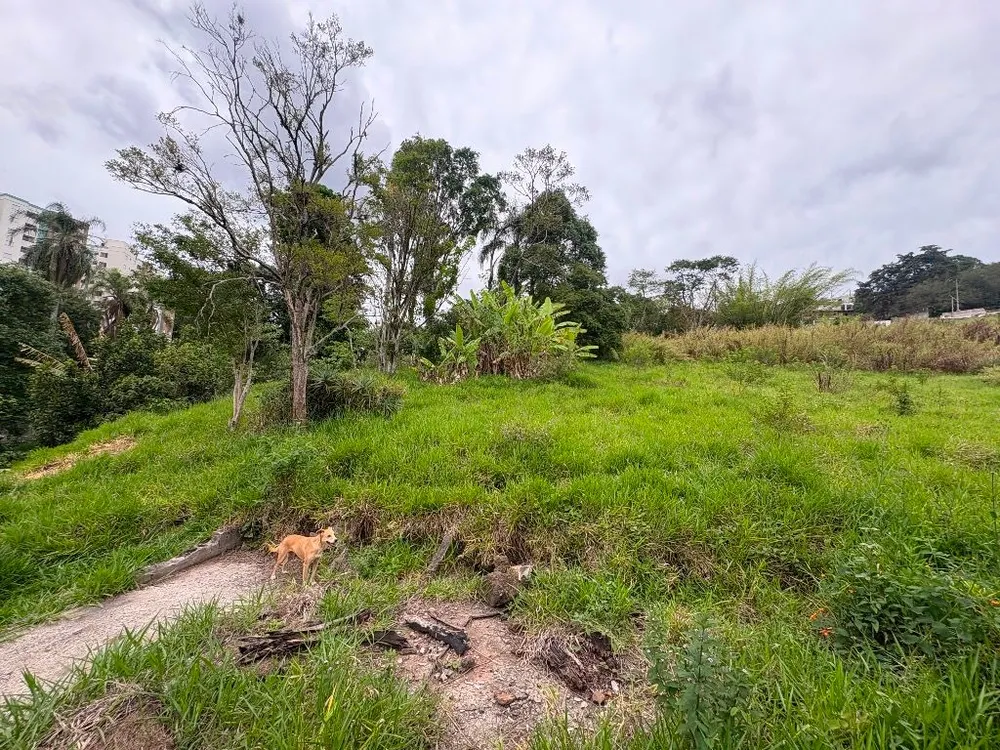 Terreno, 9000 m² - Foto 5