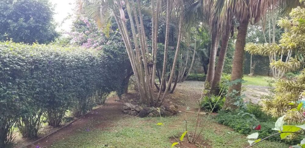 Chácara, 3 quartos, 1140 m² - Foto 12
