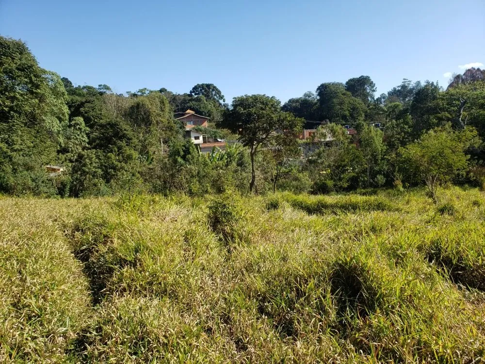 Terreno, 8274 m² - Foto 7