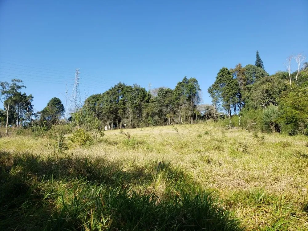 Terreno, 8274 m² - Foto 4