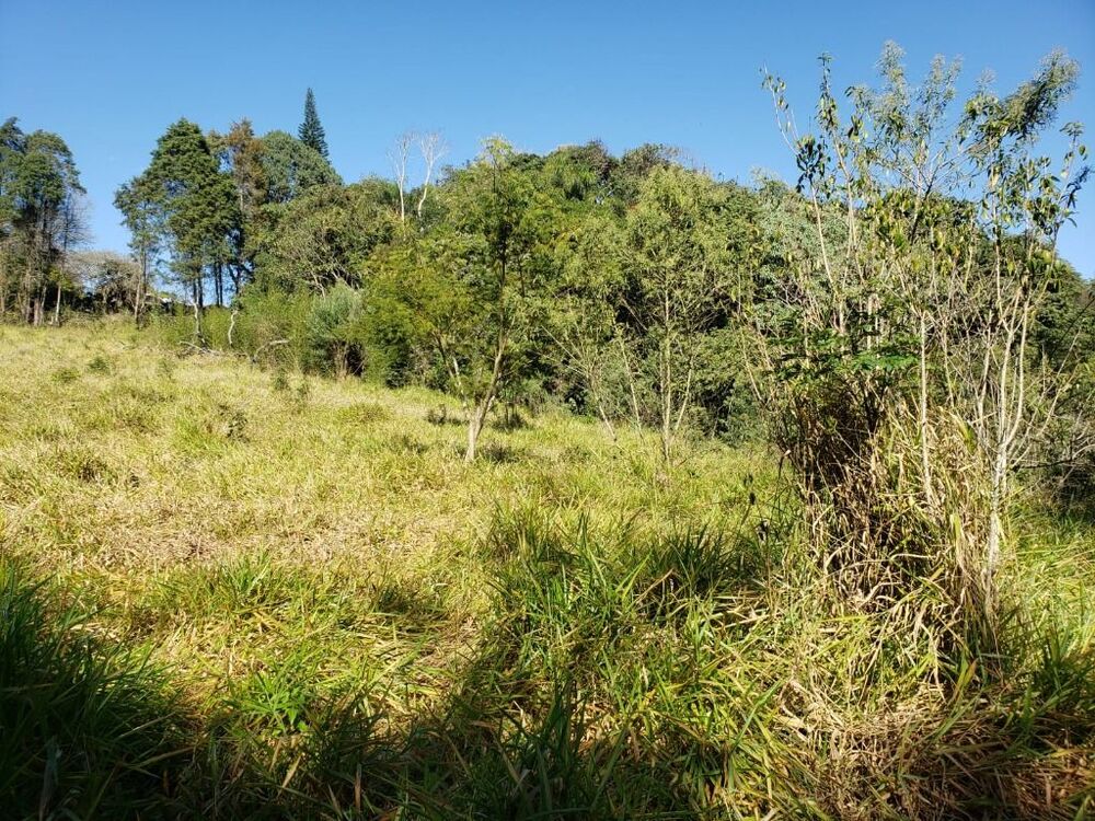Terreno, 8274 m² - Foto 3