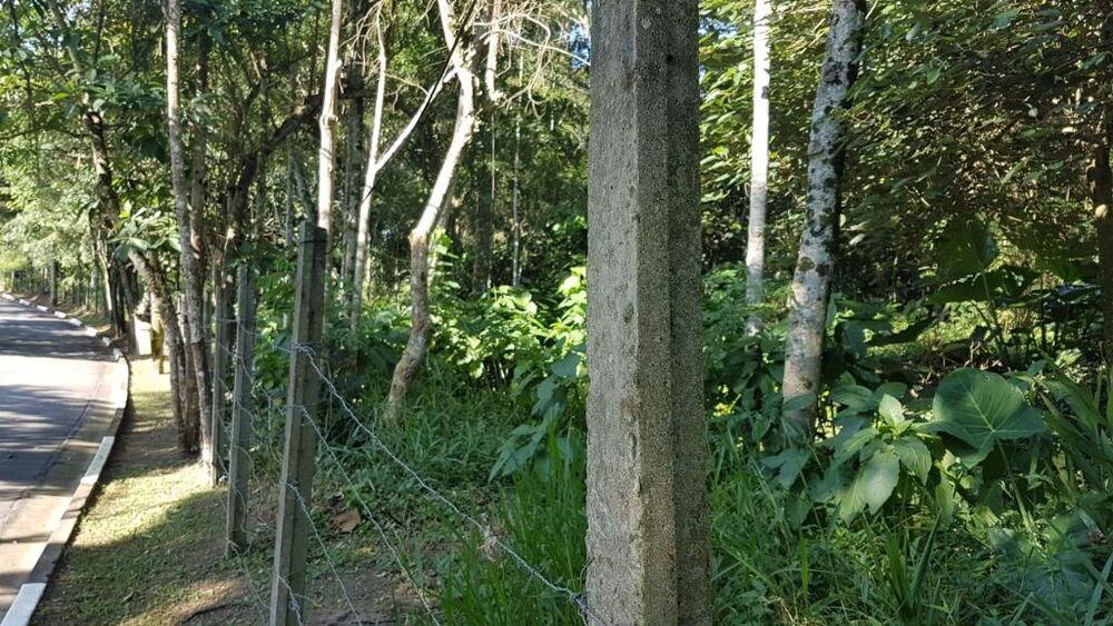 Terreno, 10000 m² - Foto 3