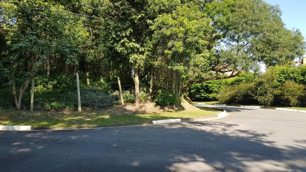 Terreno, 10000 m² - Foto 5
