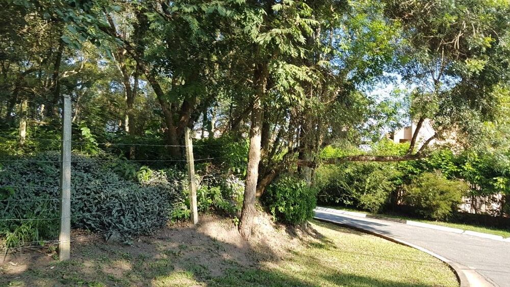 Terreno, 10000 m² - Foto 8