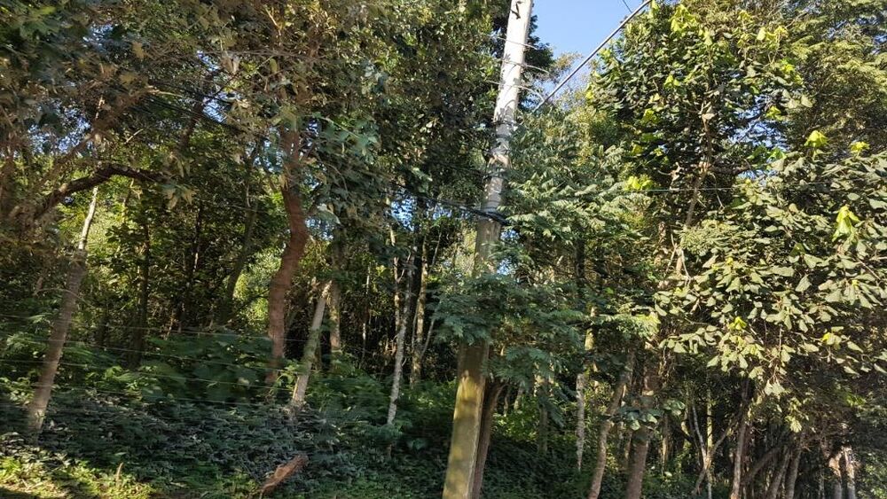 Terreno, 10000 m² - Foto 1