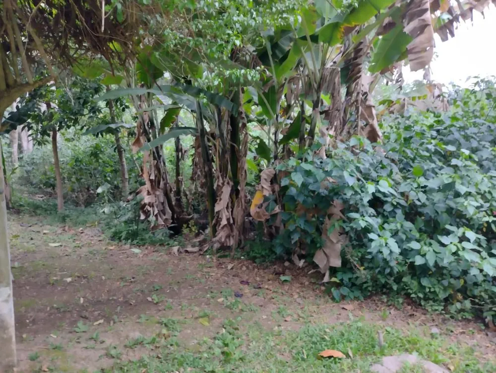 Loteamento e Condomínio, 1905 m² - Foto 9