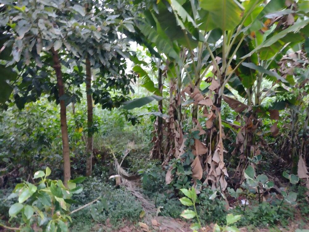 Loteamento e Condomínio, 1905 m² - Foto 7