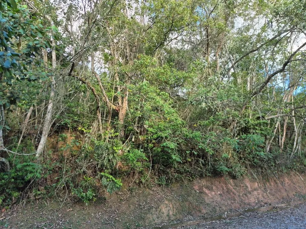 Loteamento e Condomínio, 1289 m² - Foto 5