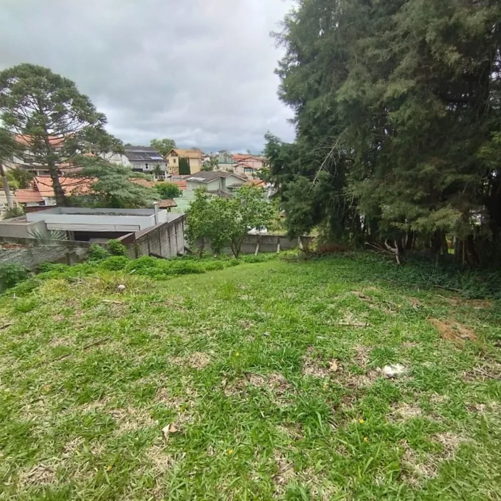 Loteamento e Condomínio, 600 m² - Foto 3