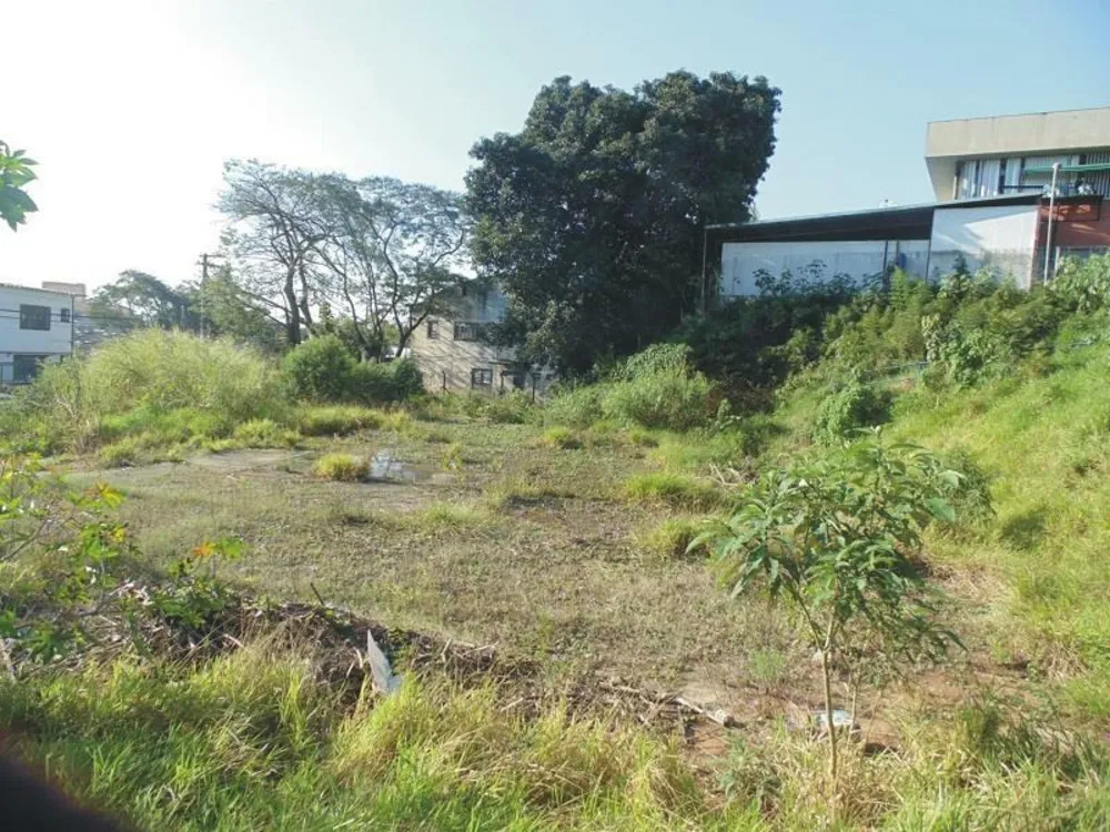 Terreno, 2029 m² - Foto 5