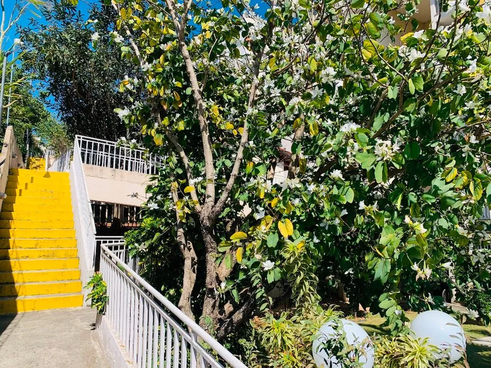 Apartamento, 2 quartos, 55 m² - Foto 5