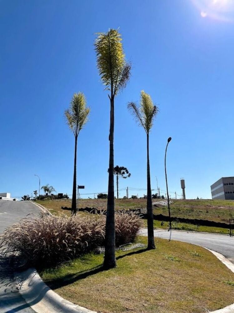 Loteamento e Condomínio, 141 m² - Foto 4