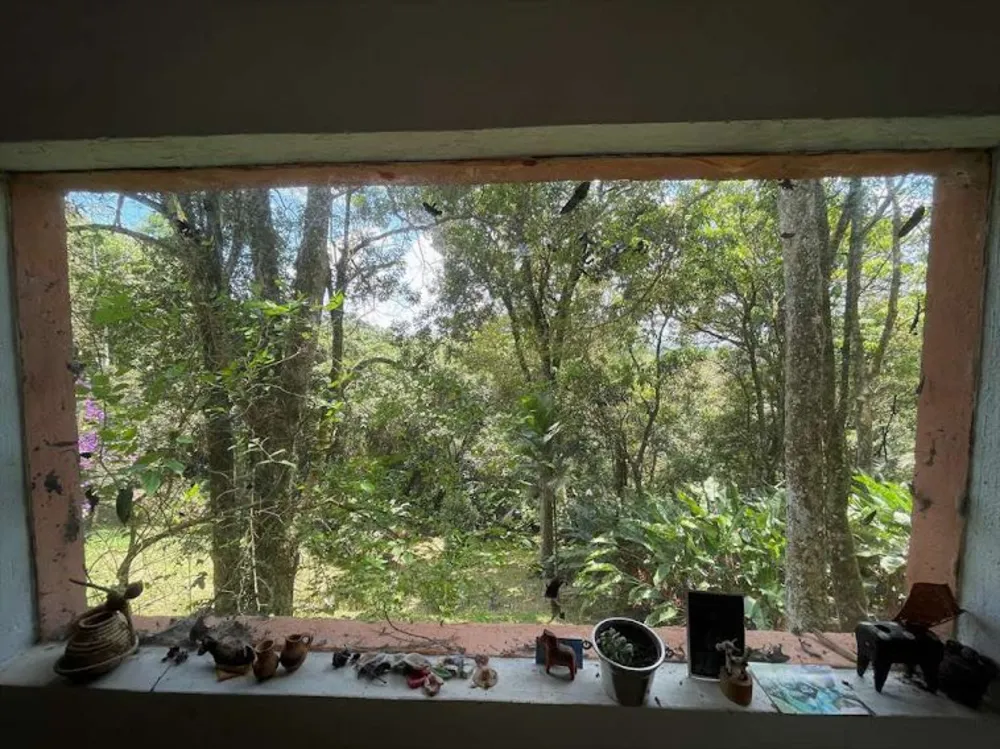 Terreno, 2 hectares - Foto 11