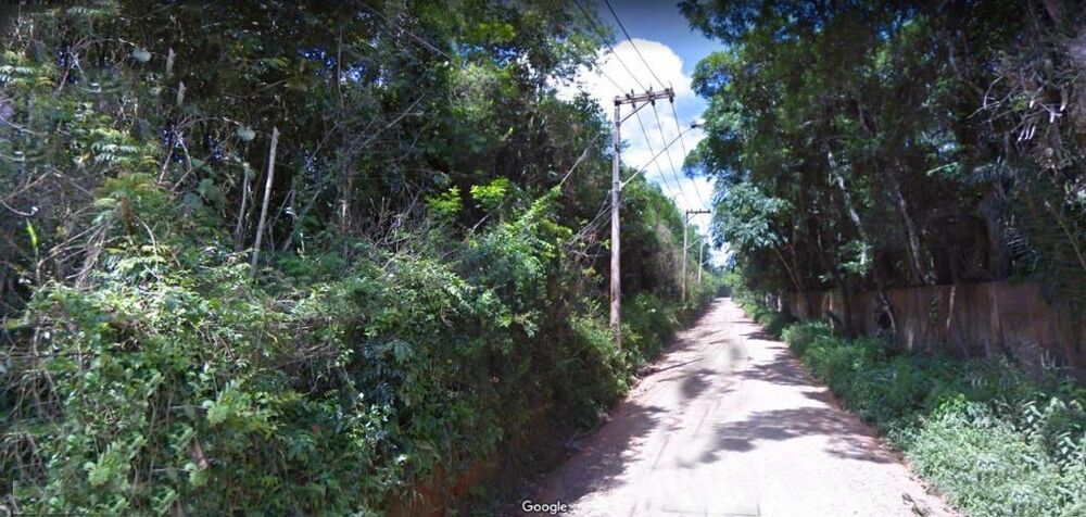 Terreno, 3 hectares - Foto 5