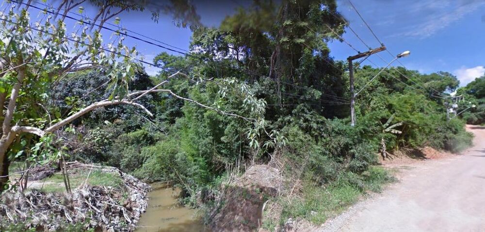 Terreno, 3 hectares - Foto 2