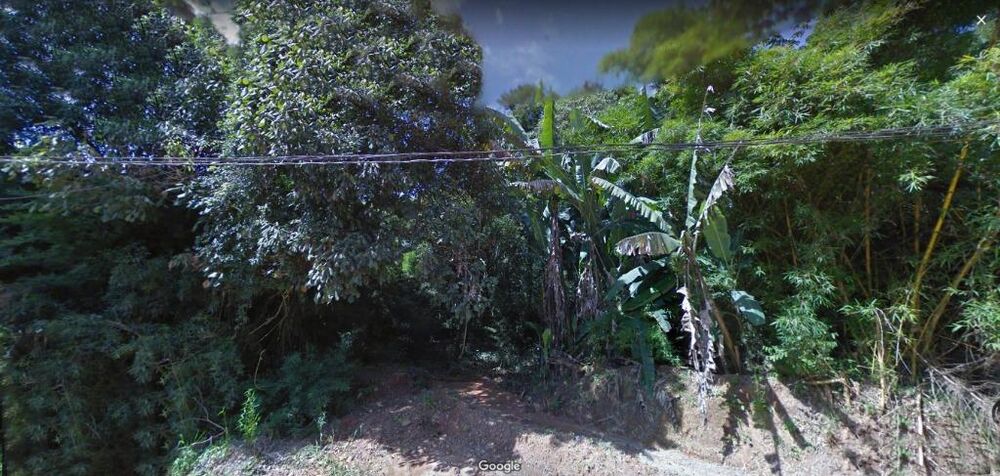 Terreno, 3 hectares - Foto 6