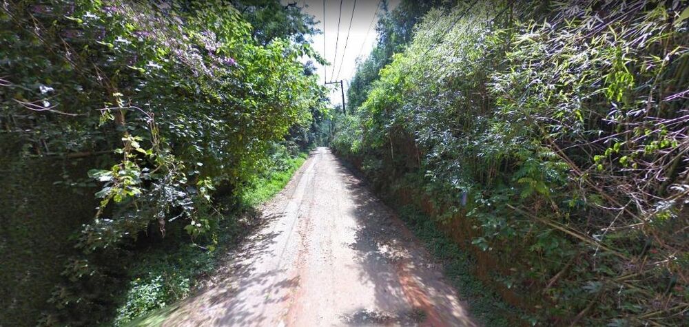 Terreno, 3 hectares - Foto 4