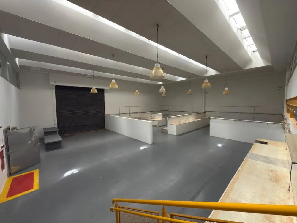 Depósito-Galpão, 1800 m² - Foto 2