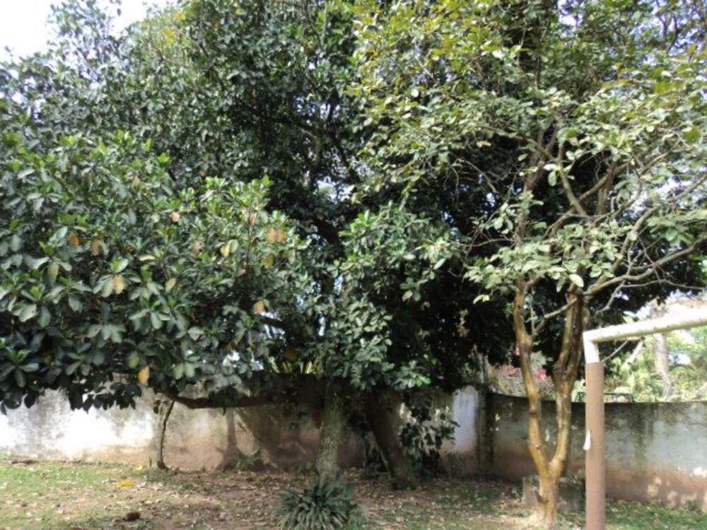 Terreno, 310 m² - Foto 10